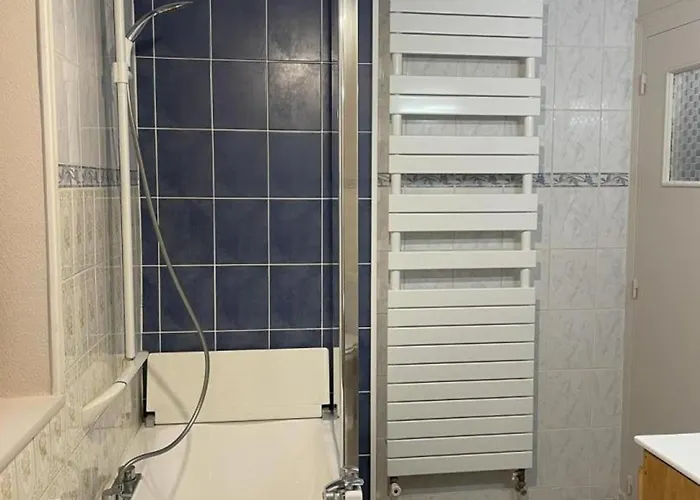 Confortable Pres De Vichy Avec Animaux Admis - Fr-1-489-496 Ferienhaus Ferrières-sur-Sichon