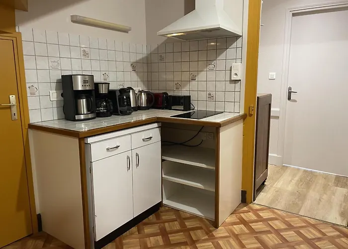 Confortable Pres De Vichy Avec Animaux Admis - Fr-1-489-496