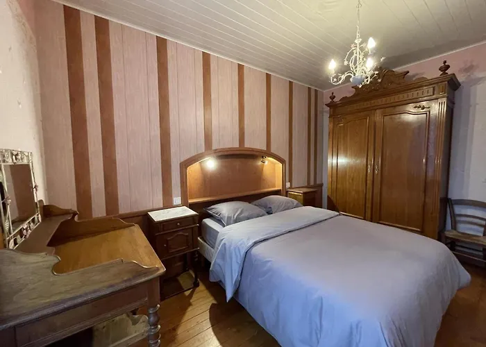 Confortable Pres De Vichy Avec Animaux Admis - Fr-1-489-496 Ferienhaus Ferrières-sur-Sichon